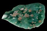 Polished Mtorolite (Chrome Chalcedony) - Zimbabwe #148228-1